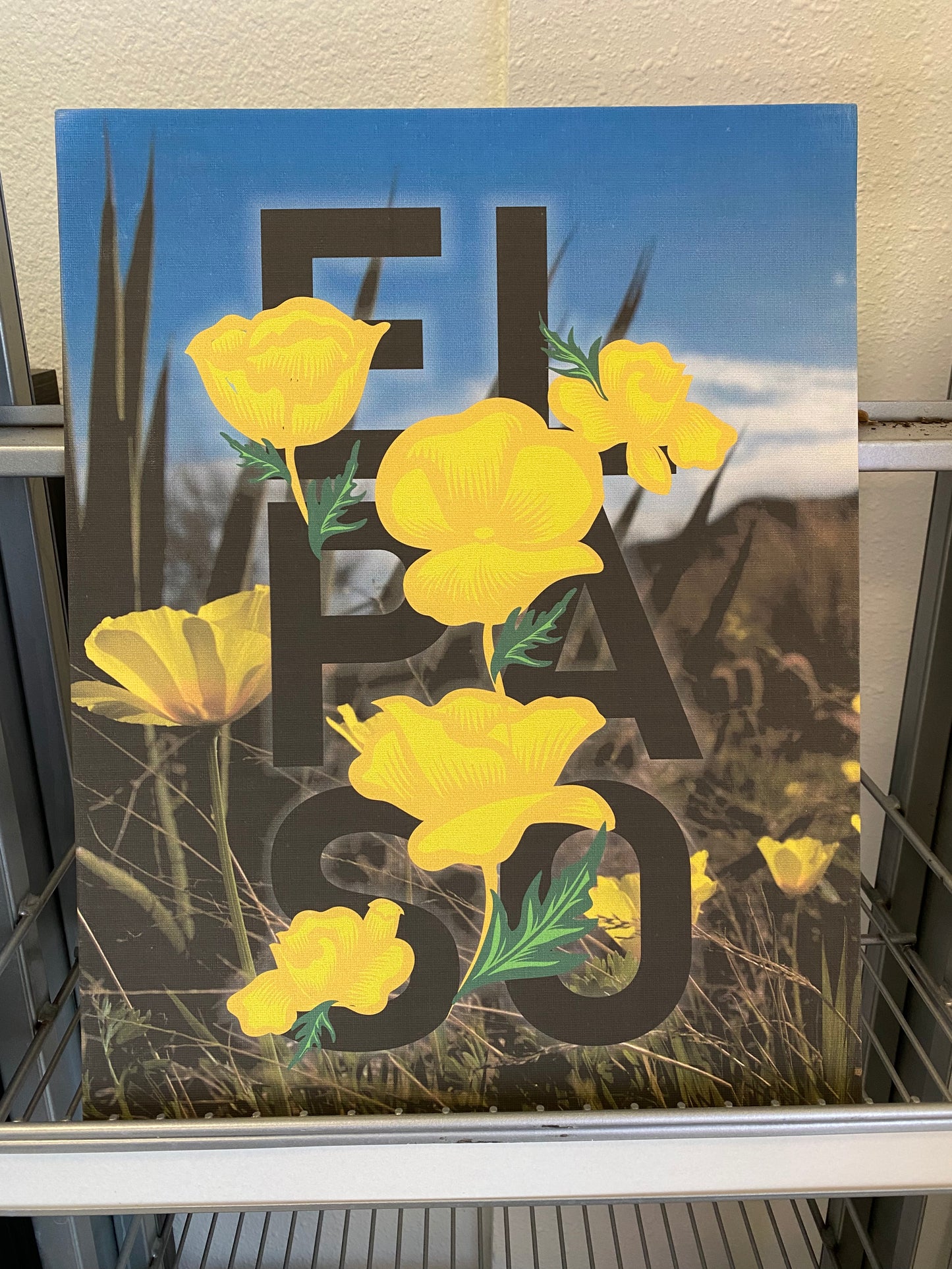 El Paso Poppies Canvas Panel