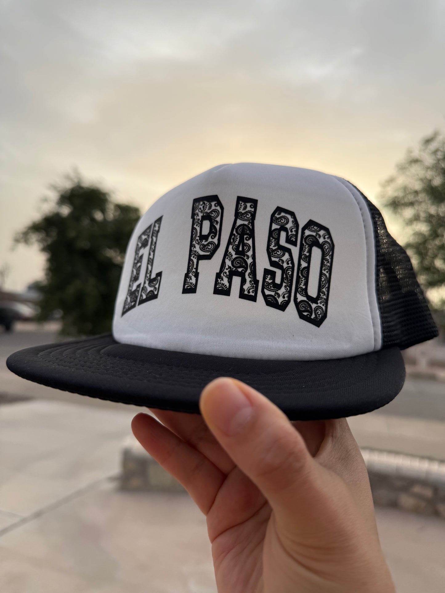 Paisley Trucker