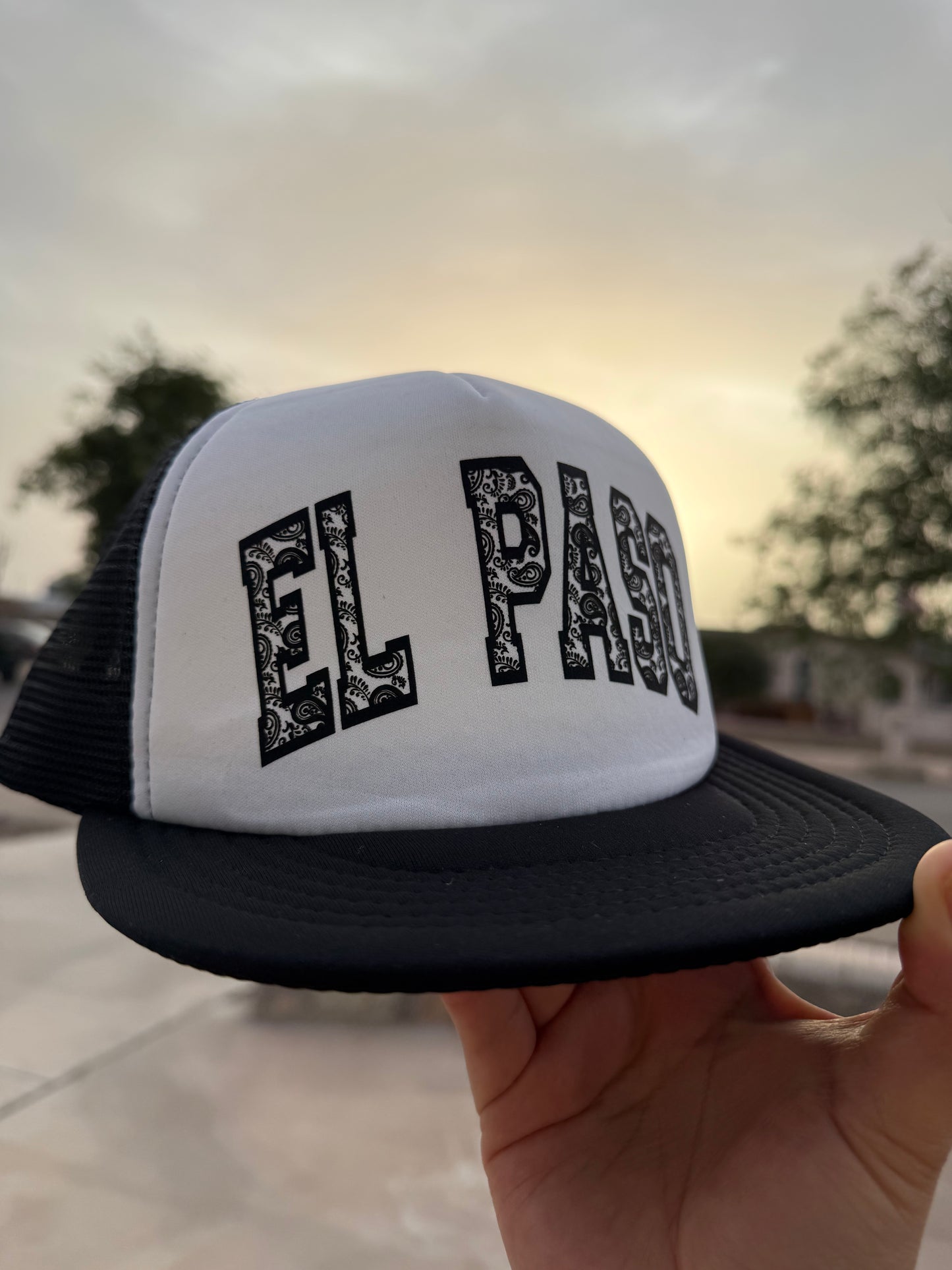 Paisley Trucker